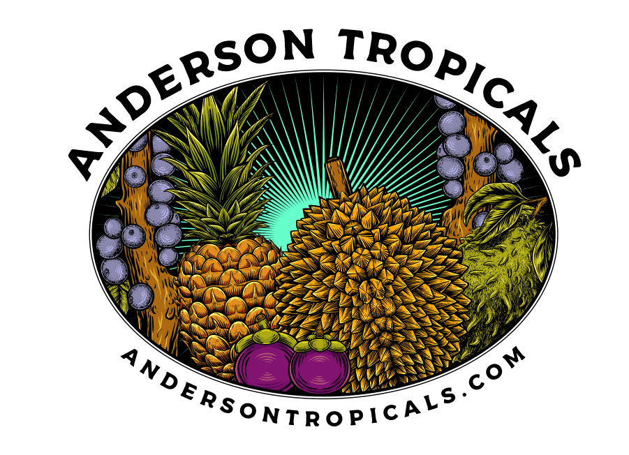 Anderson Tropicals