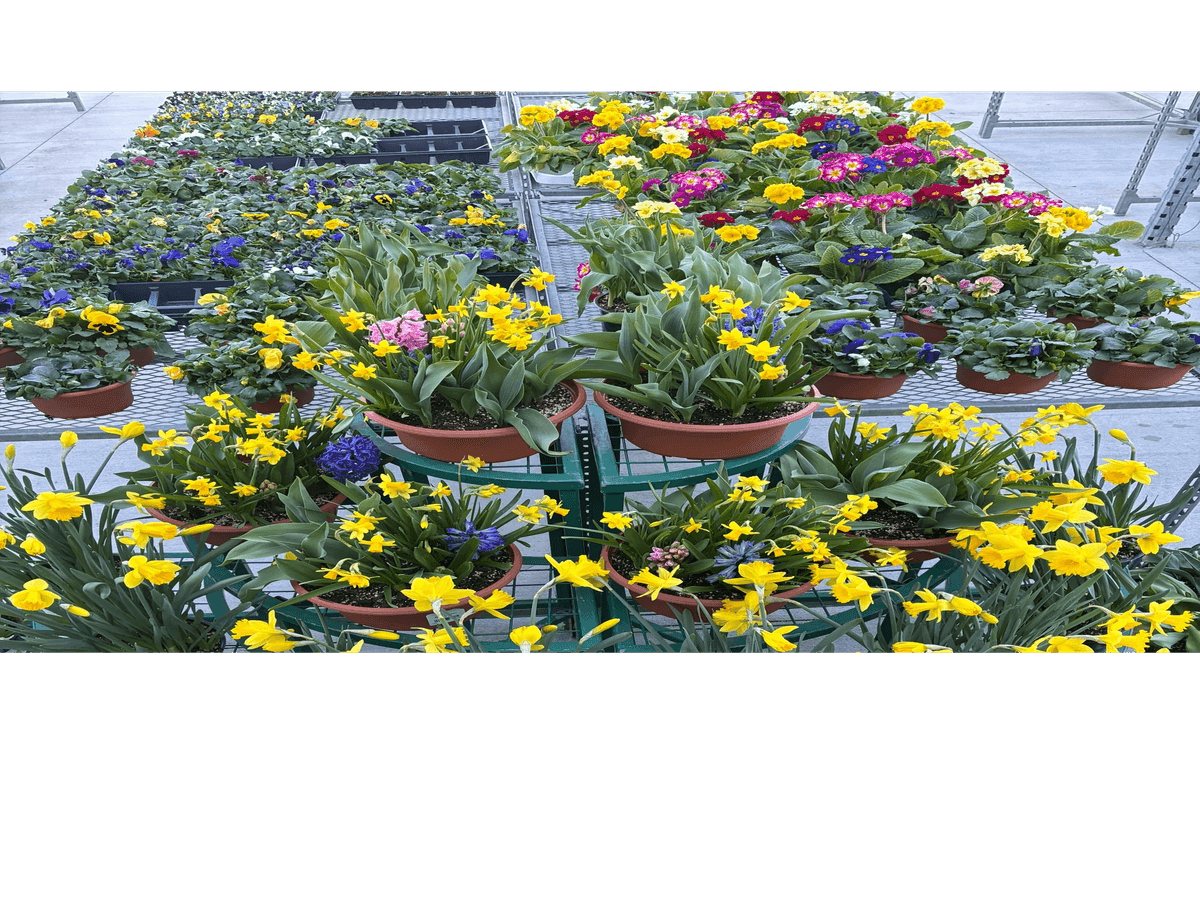 Andy T's Farm Market