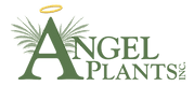 Angel Plants Inc