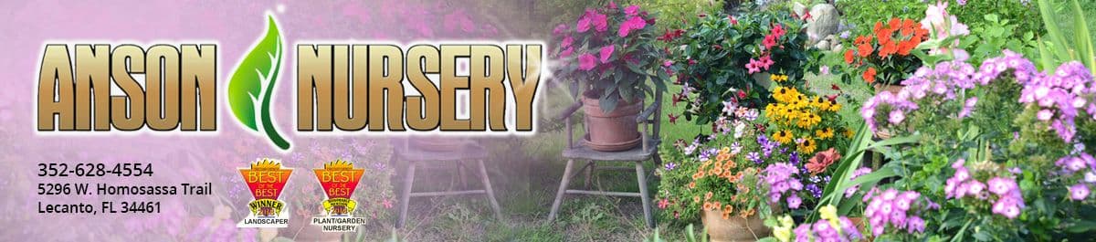 Anson Nursery