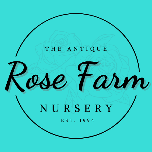 Antique Rose Farm