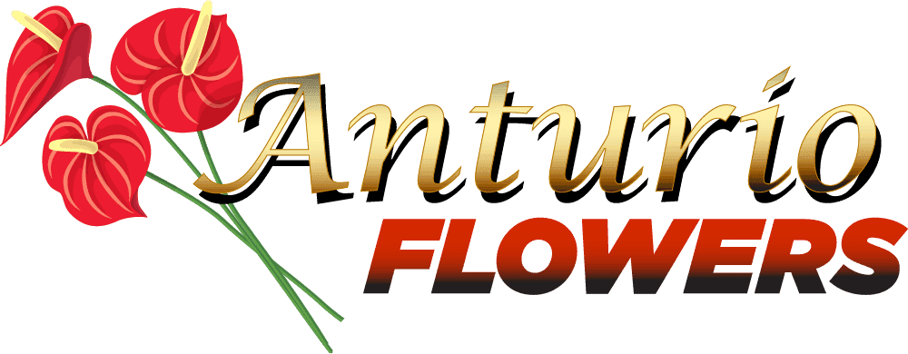 Anturio Flowers