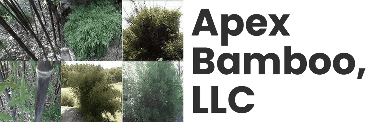 Apex Bamboo, LLC