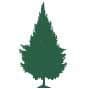 Appalachian Evergreens