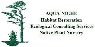 Aqua-Niche