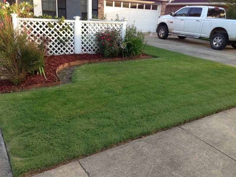 Arena GRASS FARMS