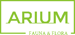 Arium Fauna & Flora