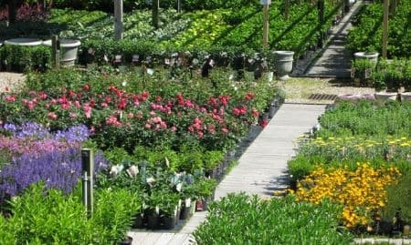 Arrowhead Nursery and Furniture