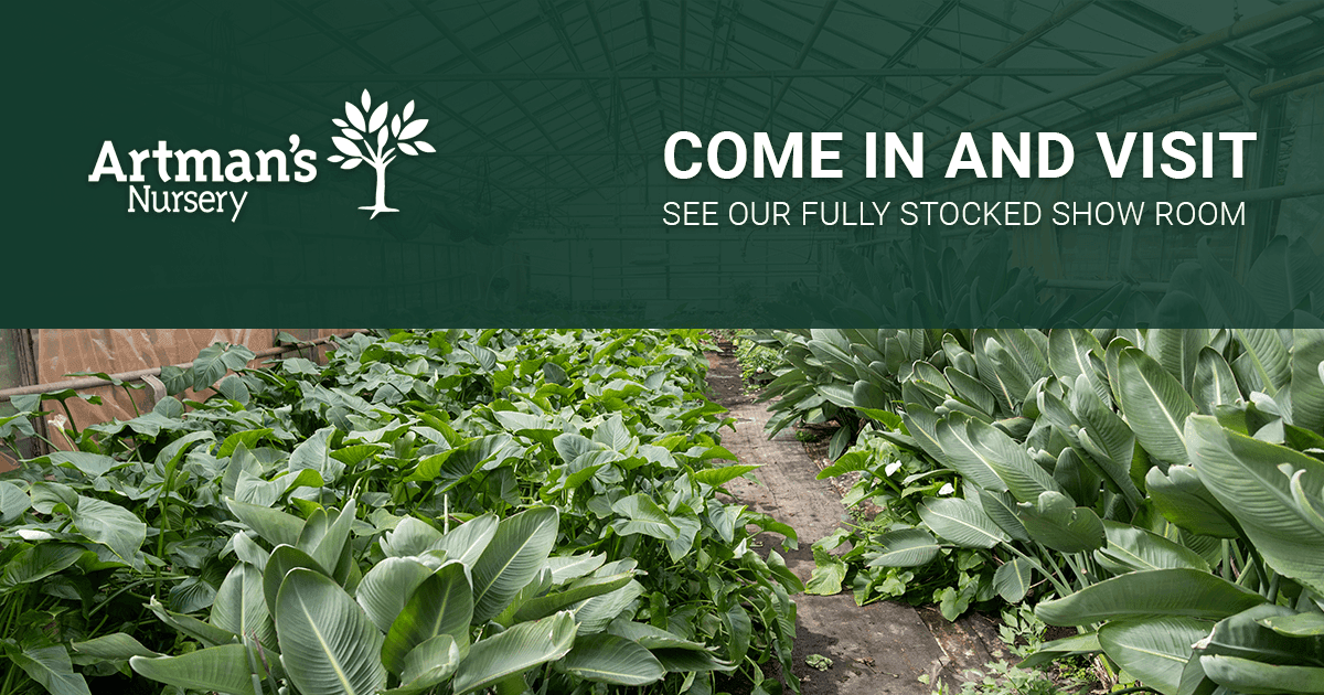 Artman's Nursery & Landscape Supply