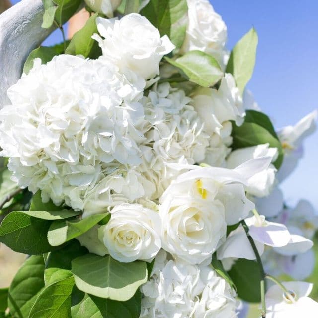 ASA Flowers