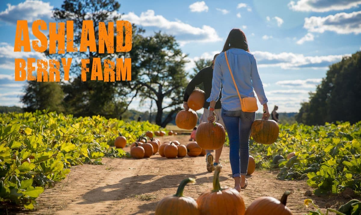 Ashland Berry Farm Inc