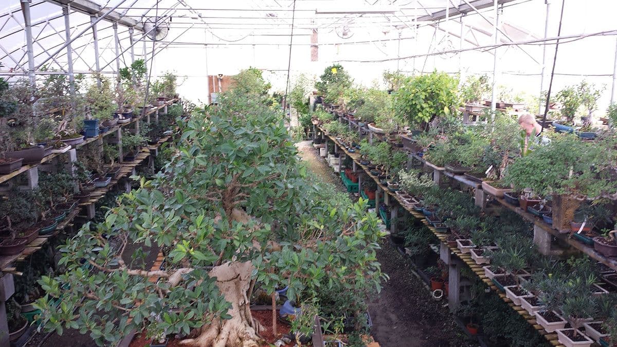 Asia Pacific Gardening