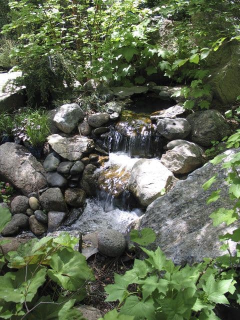 Aspen Hollow