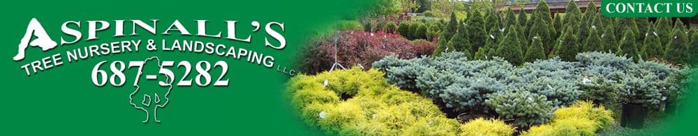Aspinall's Tree Nursery & Landscaping, LLC