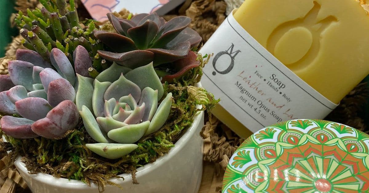 ASucca4U - Succulent Gift Box