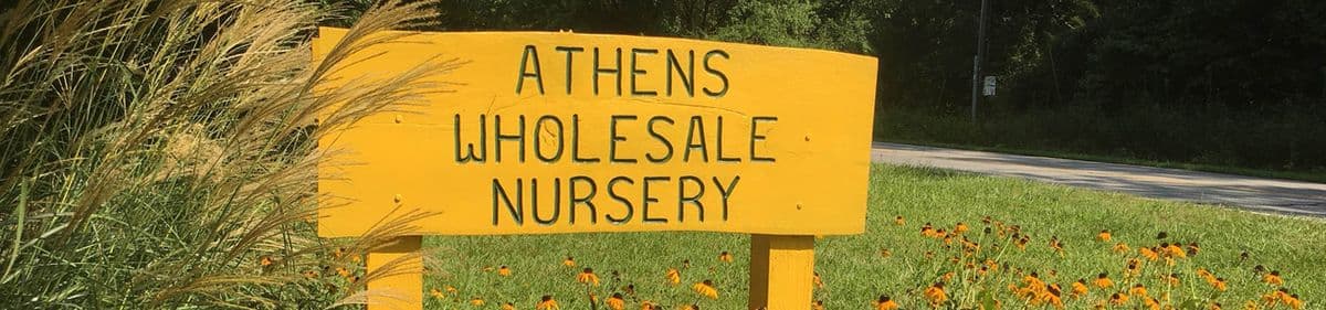 Athens Wholesale Nursery