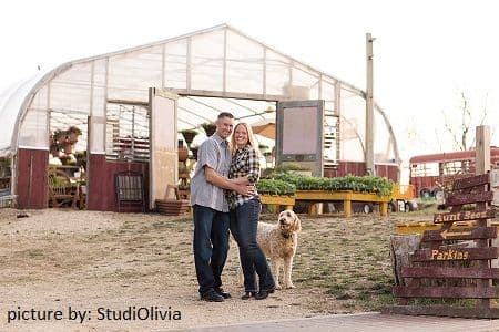 Aunt Beez Greenhouse