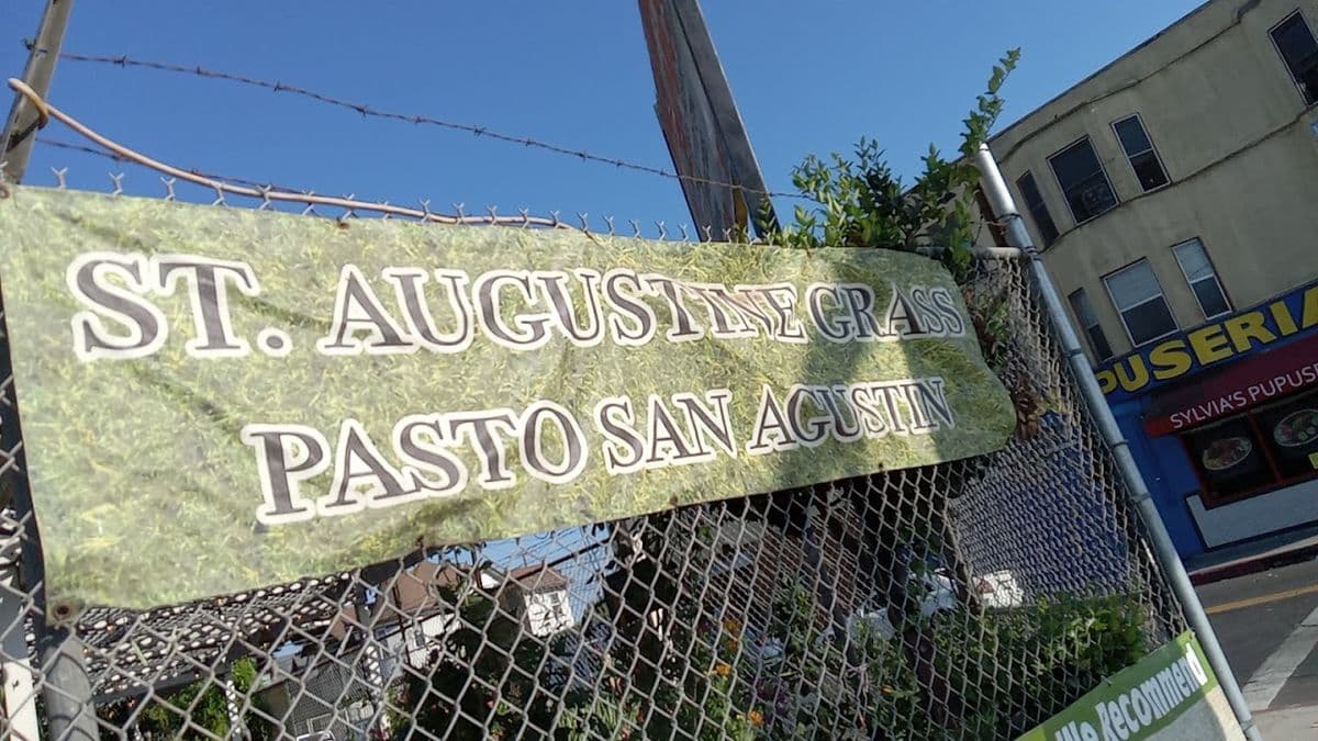 Avalon Nursery & Ceramics