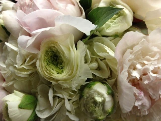 Avant Garden Florist