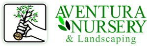 Aventura Nursery & Landscape Inc