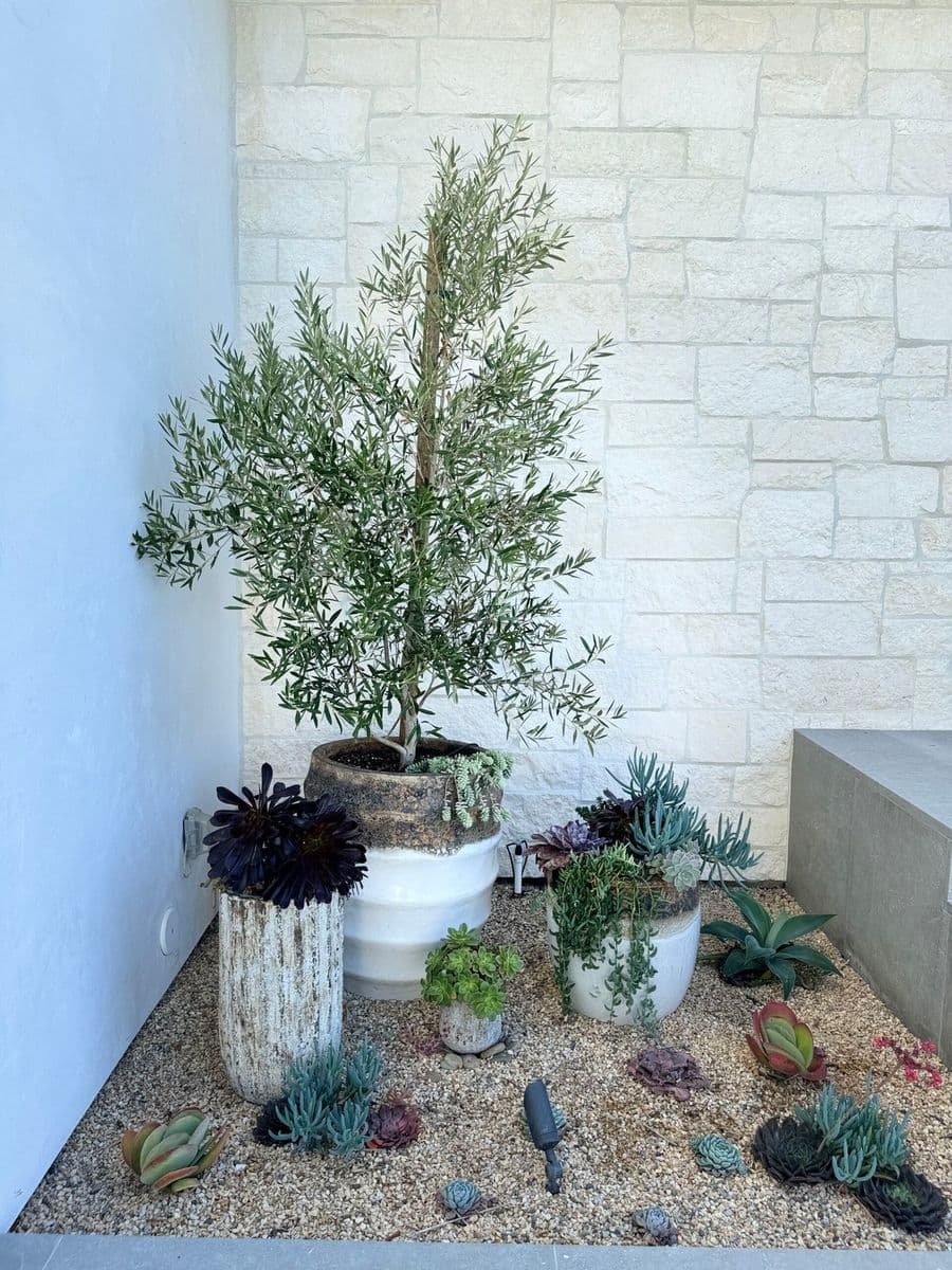 Azul and Verde Nursery