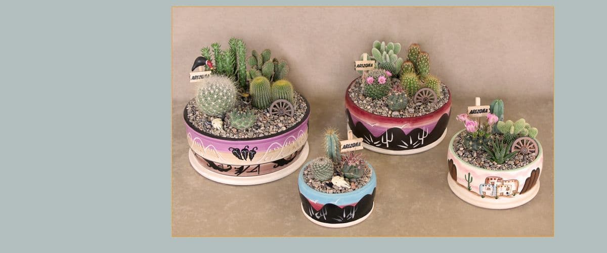 B & B Apache Cactus