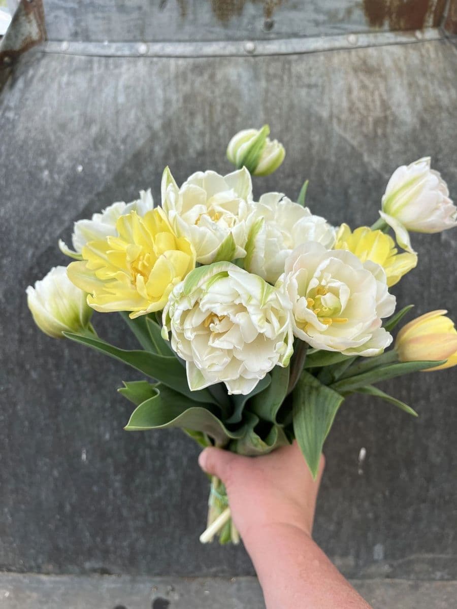 Back Forty Flower Farm