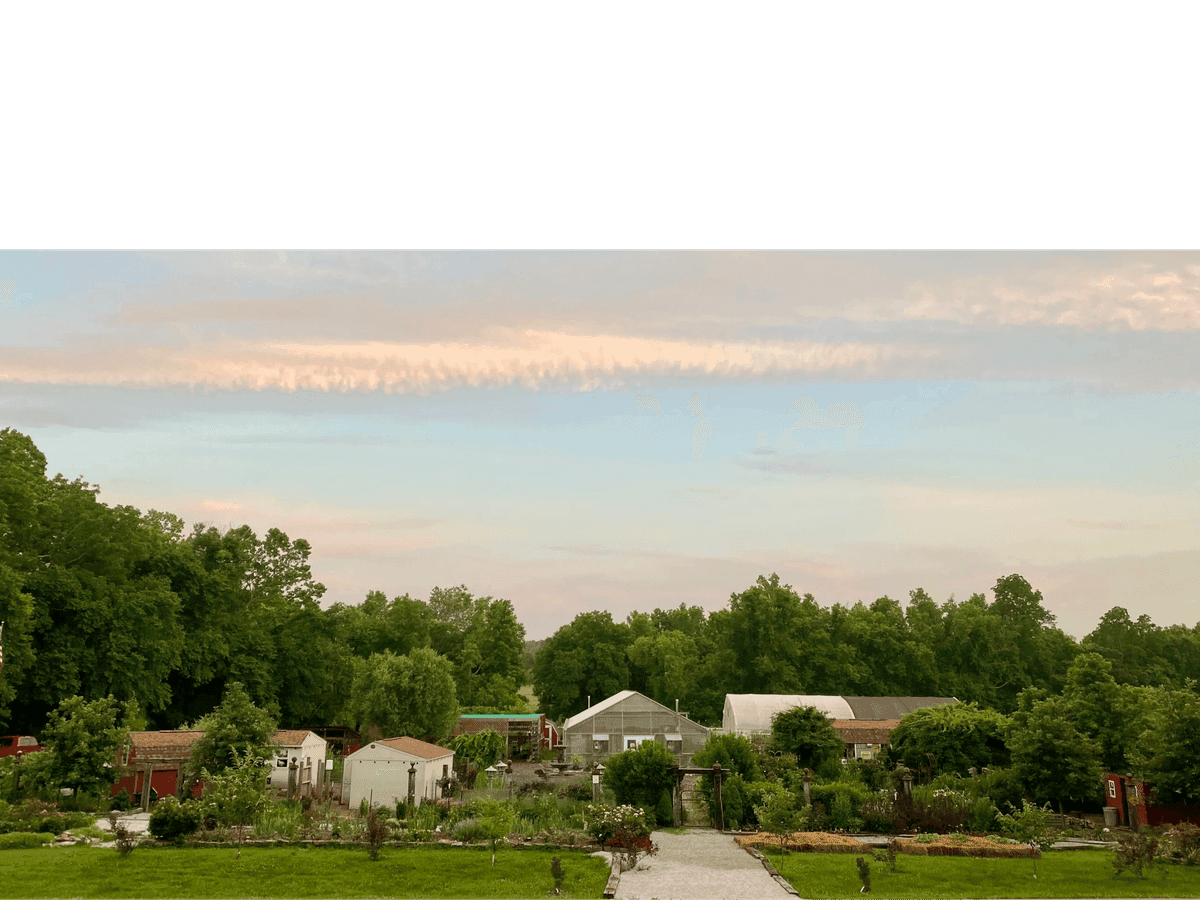 Back In Thyme Gardens & Culinary Center, LLC