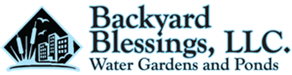 Backyard Blessings