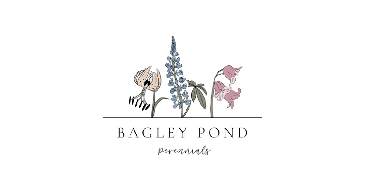 Bagley Pond Perennials