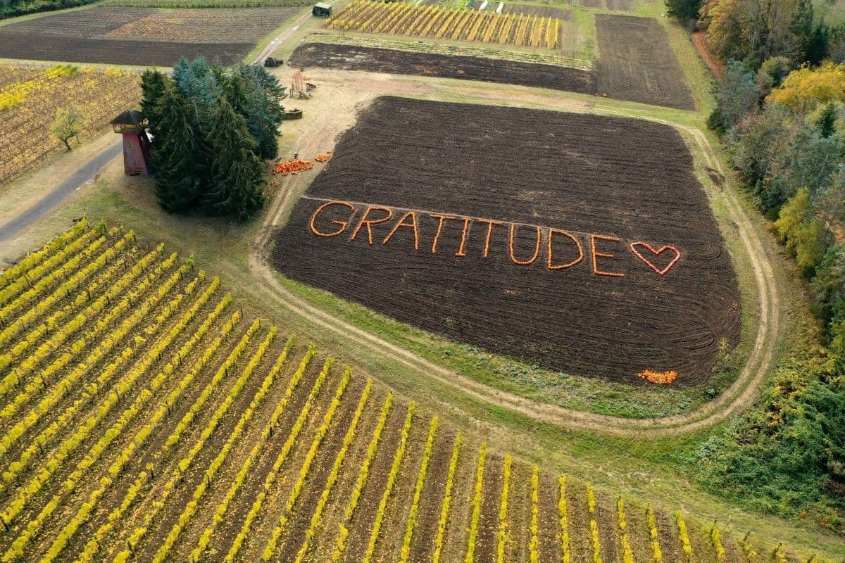 Bainbridge Island/Suyematsu Farm