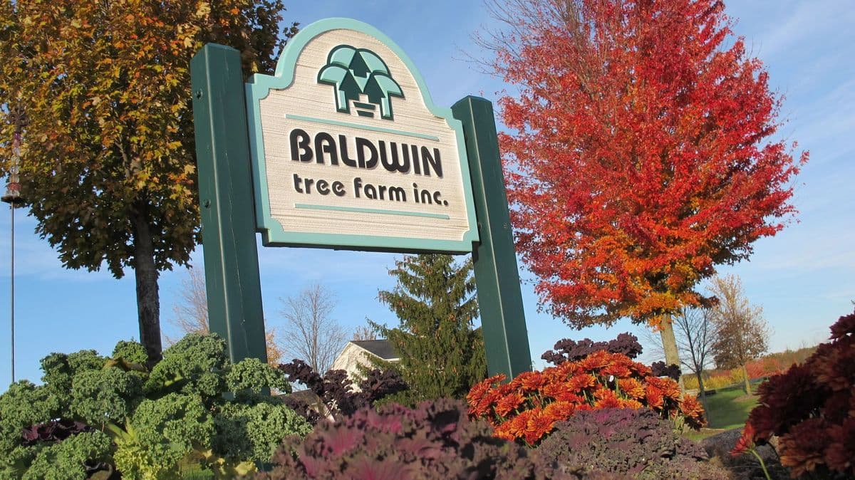 Baldwin Tree Farm