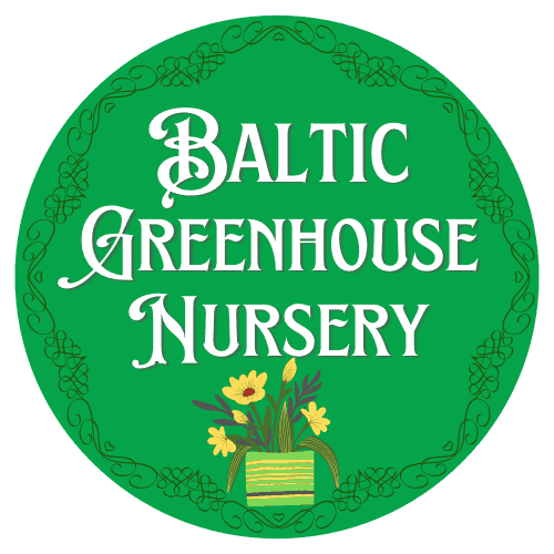 Baltic Greenhouse Nursery