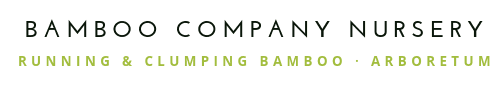Bamboo Company Nursery