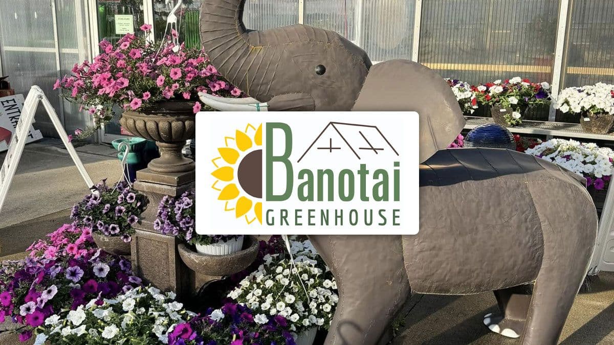 Banotai Greenhouse