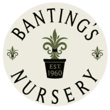 Banting's Nursery