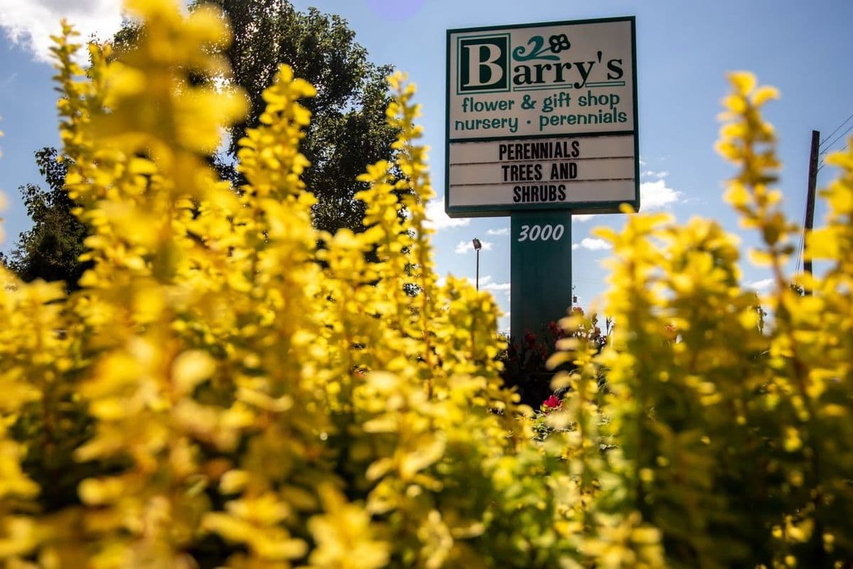 Barry's Greenhouses and Landscaping
