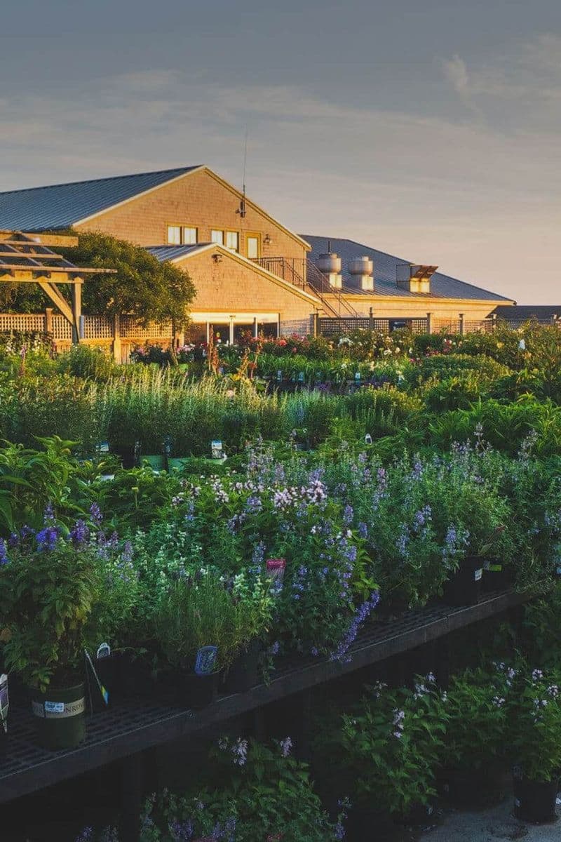 Bartlett's Farm