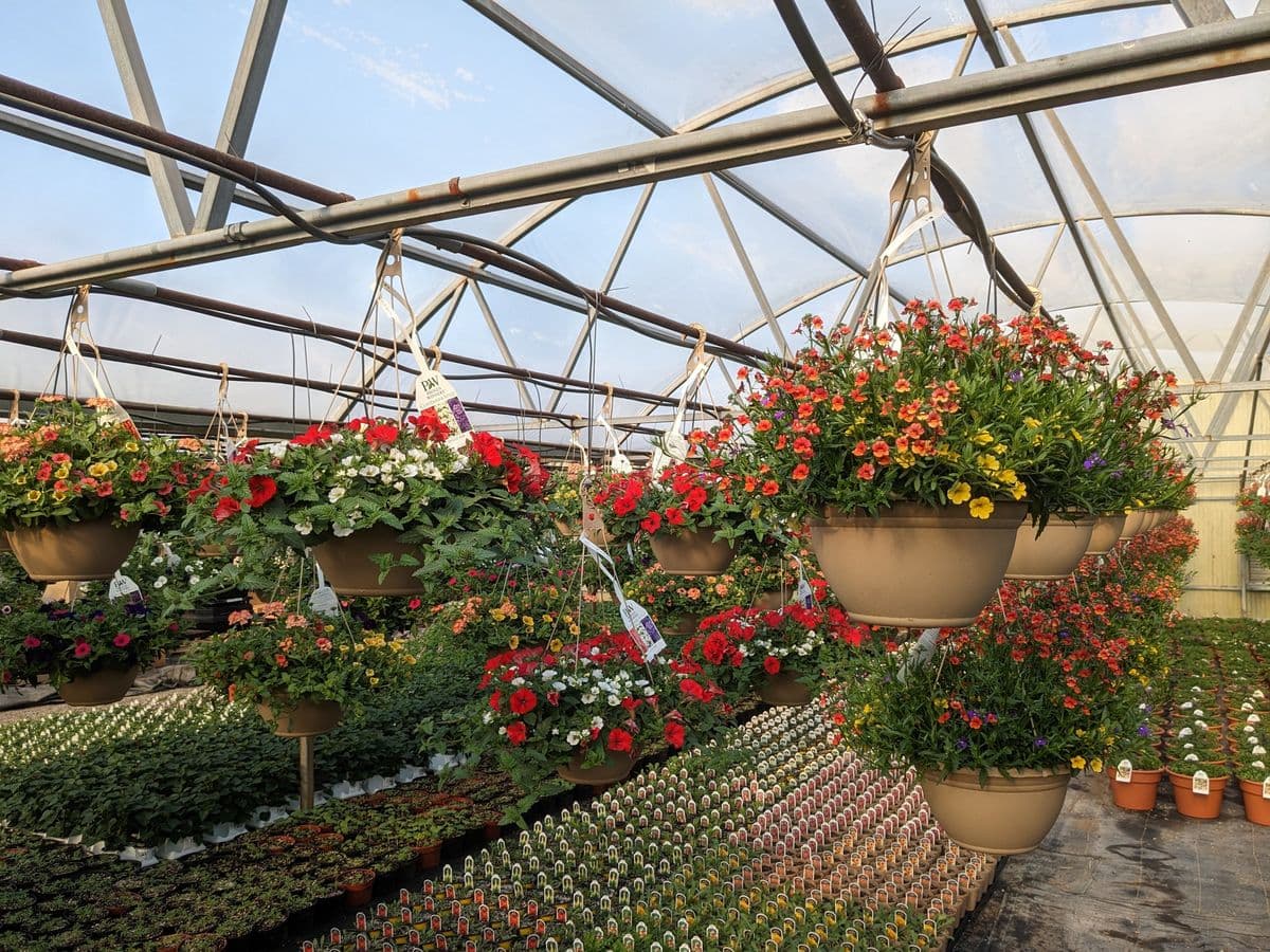 Bartsch Gardens