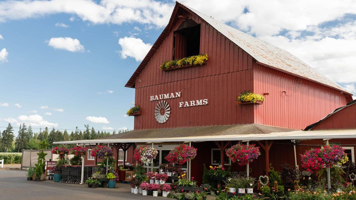 Bauman's Farm and Garden
