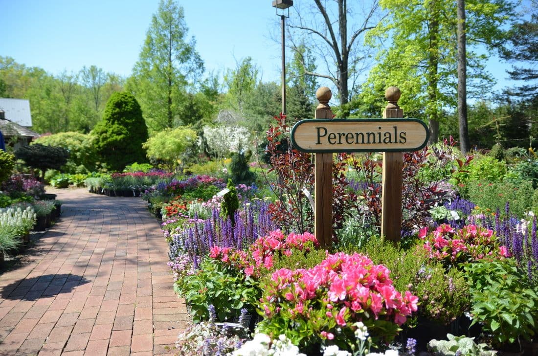 Baumley Nursery & Landscaping of Princeton