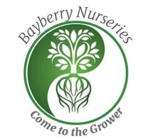 Bayberry Nurseries