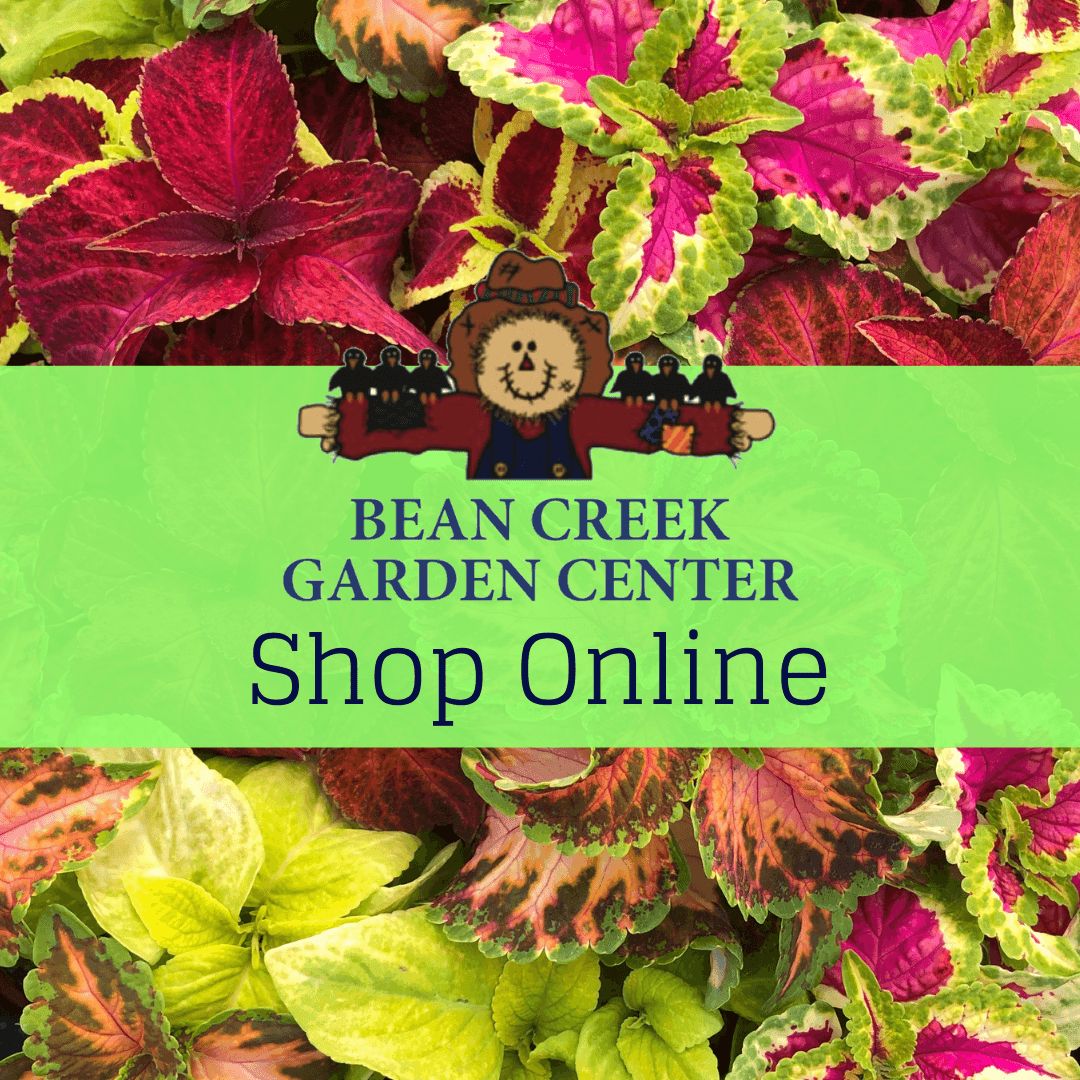 Bean Creek Garden Center