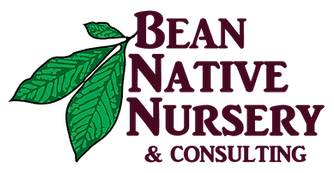 Bean Native Nursery & Consulting, LLC