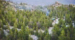 Bear Creek Christmas Tree Farm