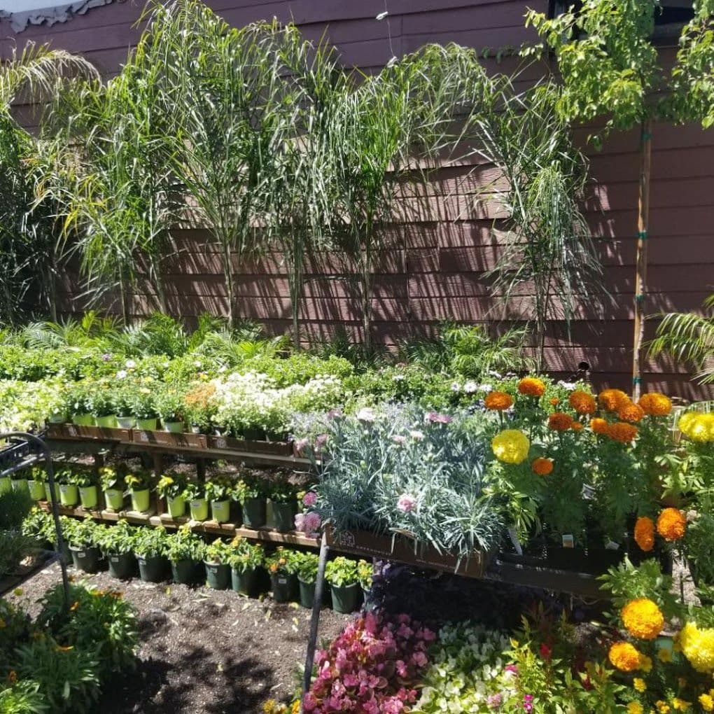Bearscapes Nursery/Landscaping on Eden plains rd