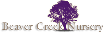 Beaver Creek Nursery