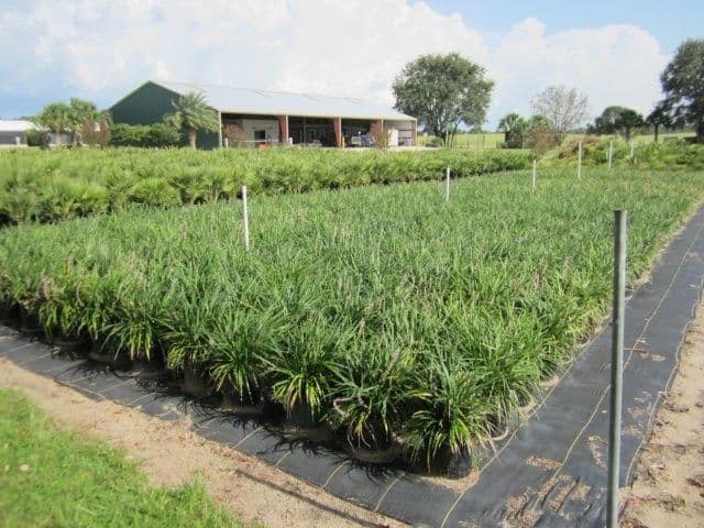 Beckel Landscape Nursery, Inc.