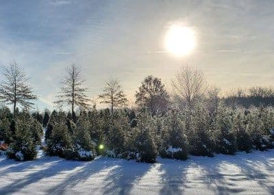Beekman Nursery