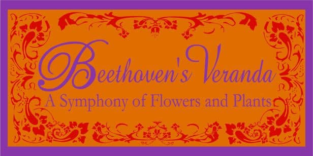 Beethoven’s Veranda